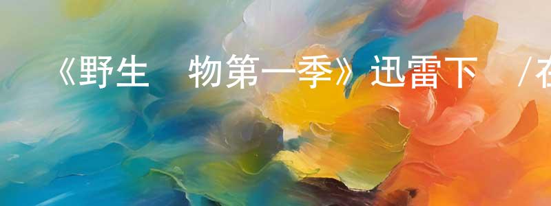 陳紅琴發布《野生動物第一季》迅雷下載/在線觀看-動漫卡通-美劇天堂